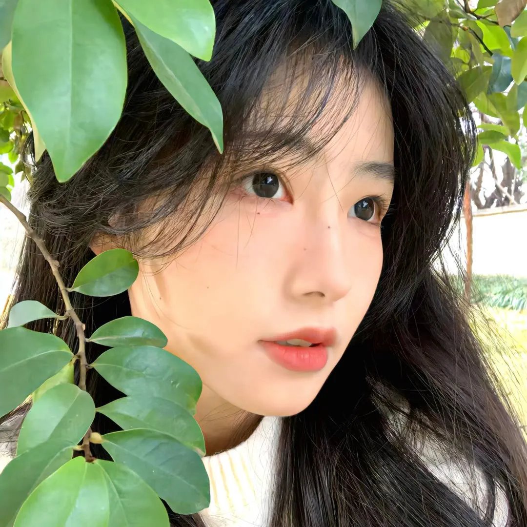 致命礼物